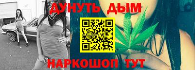 альфа пвп Новодвинск