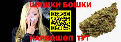 альфа пвп Новодвинск