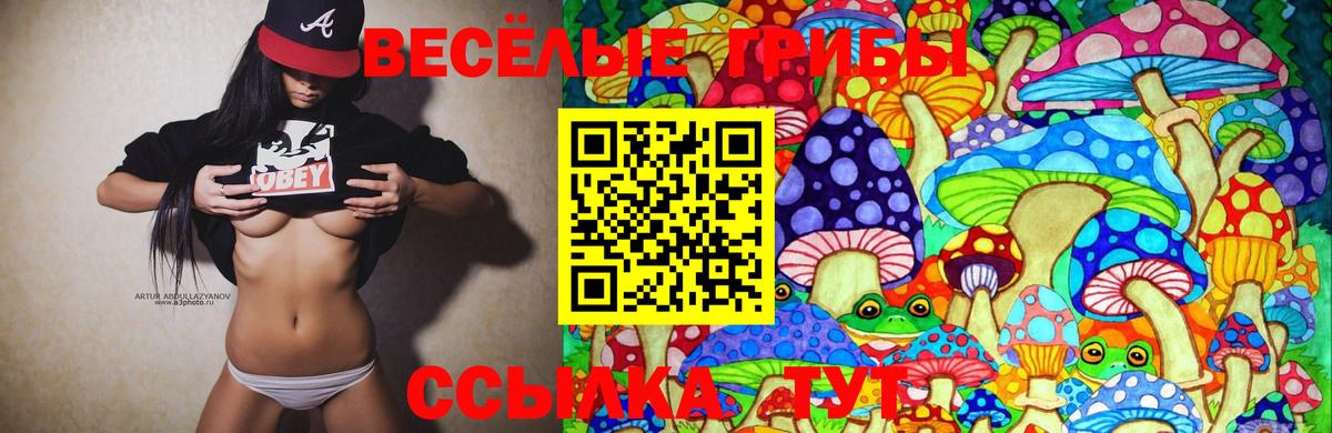 Псилоцибиновые грибы мухоморы Чусовой