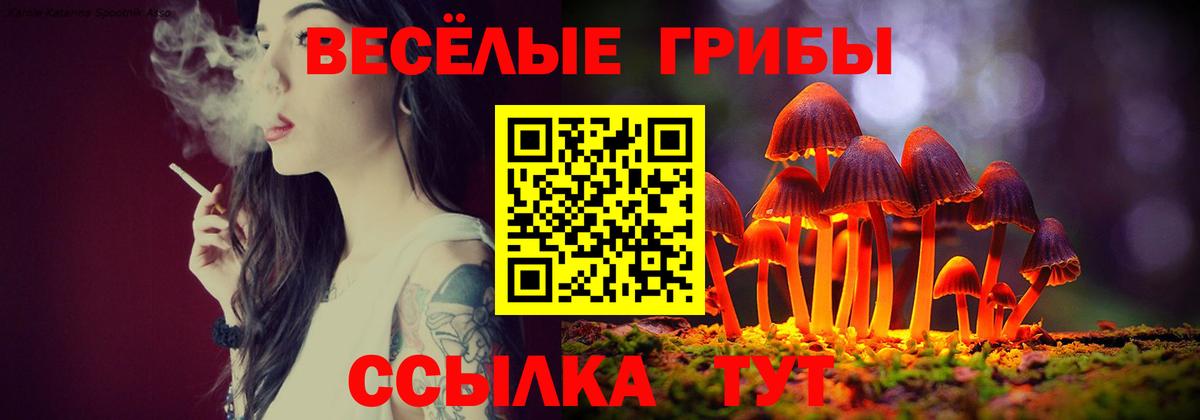 Чусовой  Галлюциногенные грибы Cubensis  Галлюциногенные грибы Cubensis  Вход с VPN 